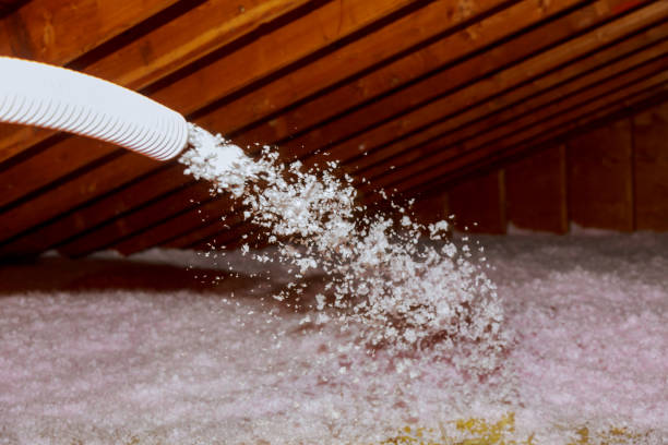 Best Geographic-Specific Insulation Services in Menard, TX