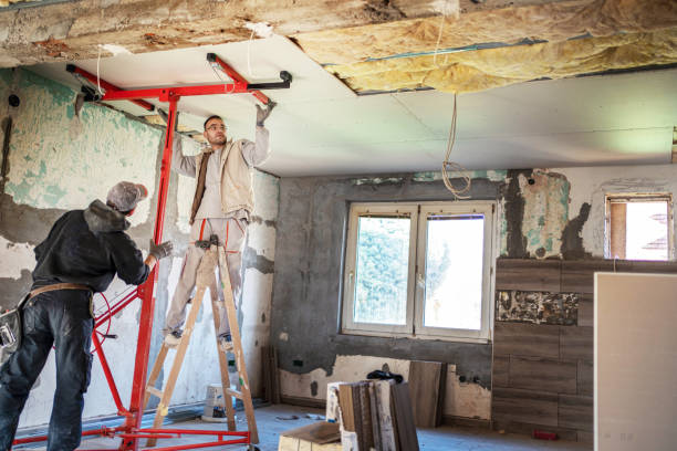 Best Insulation Maintenance and Repair in Menard, TX